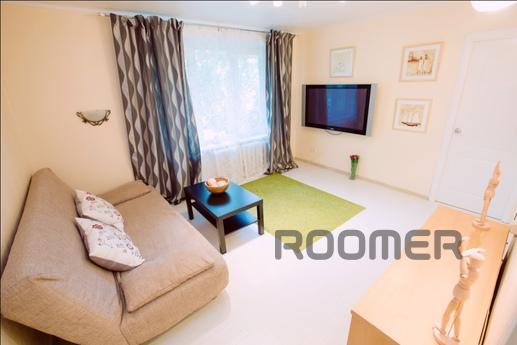 Cozy and comfortable one-bedroom apartment in a quiet side s