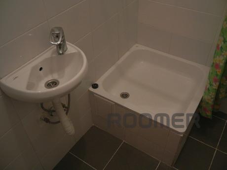 Apartment in the city of Prince Roman 26, Lviv - apartment by the day