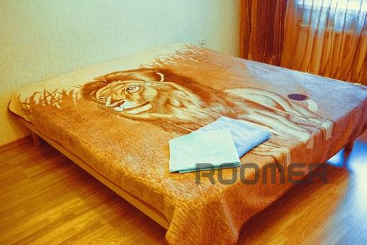 Apartment in the city center, Rostov-on-Don - apartment by the day