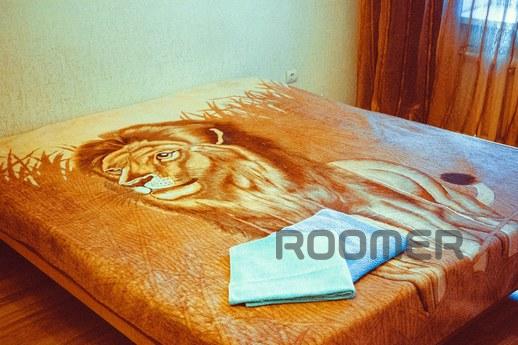 Apartment in the city center, Rostov-on-Don - apartment by the day