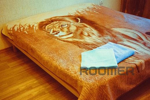 Apartment in the city center, Rostov-on-Don - apartment by the day