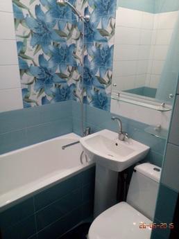 1-комнатная квартира на Пешкова 55, Ростов-на-Дону - квартира посуточно