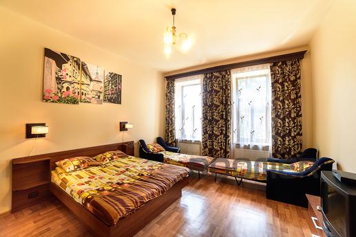 Comfortable stylish apartment, Lviv - apartment by the day