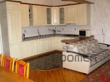 Excellent apartment in the center, Kharkiv - apartment by the day