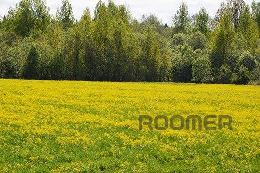 House in the village, Вологда - квартира подобово