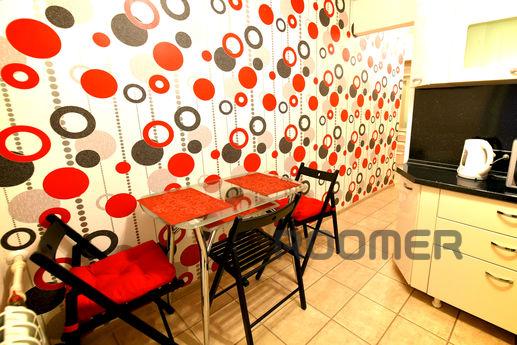 Elegant kittens in the center, Волгоград - квартира подобово