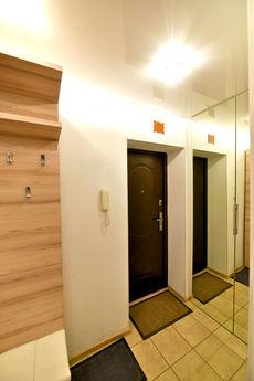 Elegant kittens in the center, Волгоград - квартира подобово