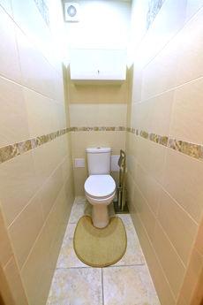 Elegant kittens in the center, Волгоград - квартира подобово