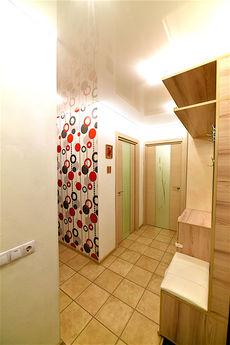 Elegant kittens in the center, Волгоград - квартира подобово