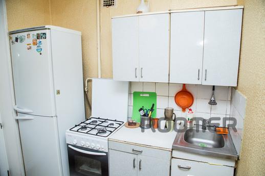 Bright and warm 2-bedroom apartment, Moscow - apartment by the day