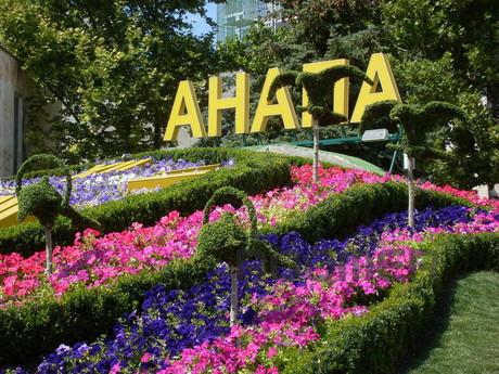 Apartment in Anapa, Анапа - квартира подобово