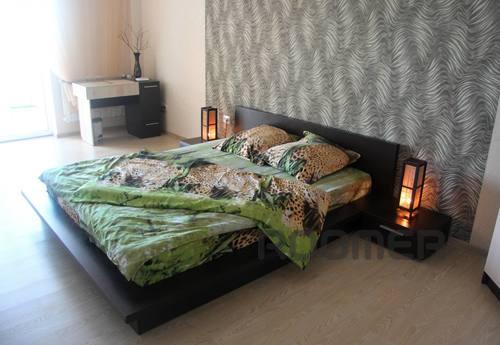 Daily rental rent studio apartment with excellent repair and