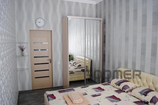 Rent rent one-bedroom apartment on Ekaterynynskoy 66. Large 