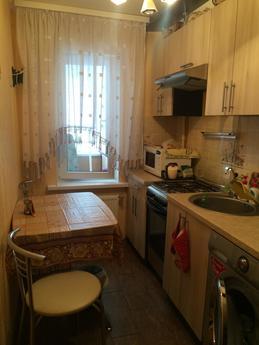 1k apartment m. Darnitsa- 15 minutes, Kyiv - apartment by the day