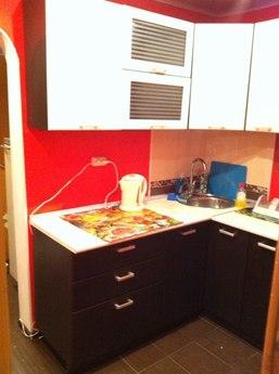 Cozy 2 bedroom apartment, Kazan - apartment by the day