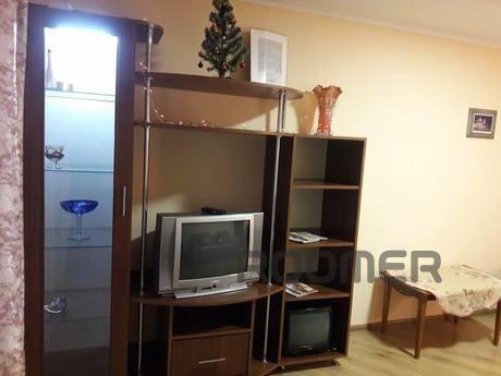 Cozy 1 bedroom apartment., Lviv - apartment by the day