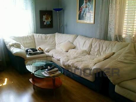 Cozy and clean studio apartment for you to rent and more. Ev