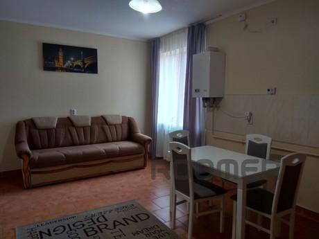 Large 1 room apartment in the center!, Mukacheve - apartment by the day