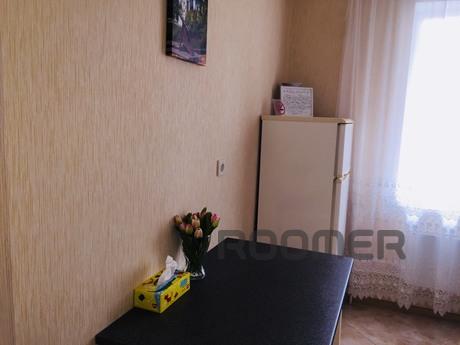 rent their one-room apartment, Kyiv - apartment by the day