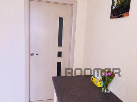 rent their one-room apartment, Kyiv - apartment by the day