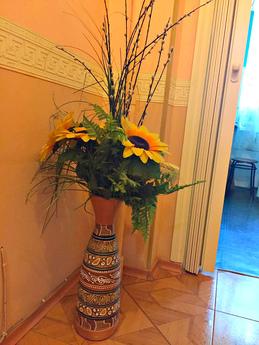 Apartment for Rent in the city center, Rostov-on-Don - apartment by the day