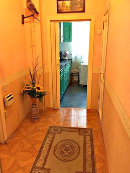 Apartment for Rent in the city center, Rostov-on-Don - apartment by the day