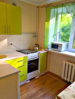 One bedroom apartment in the heart, Rostov-on-Don - apartment by the day