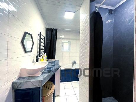 house for rent, Kyiv - apartment by the day