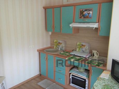 1 комнатная квартира с панорамным видом, Черноморск (Ильичевск) - квартира посуточно