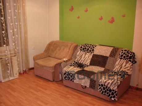 Cozy apartment near the center of Lviv, Lviv - apartment by the day