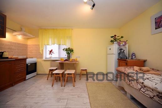 Apartment in Boryspil 10 minutes from th, Boryspil - apartment by the day