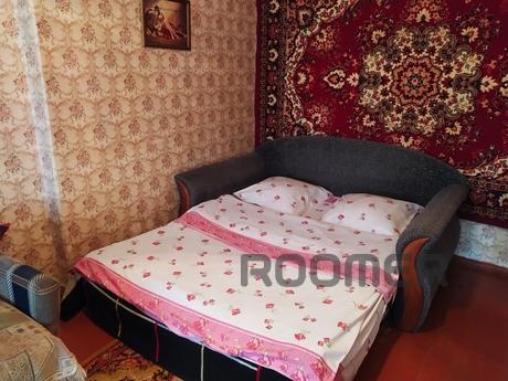 1 bedroom apartment in the center, Zaporizhzhia - apartment by the day