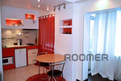 Beautiful studio in the center of Antono, Kyiv - apartment by the day