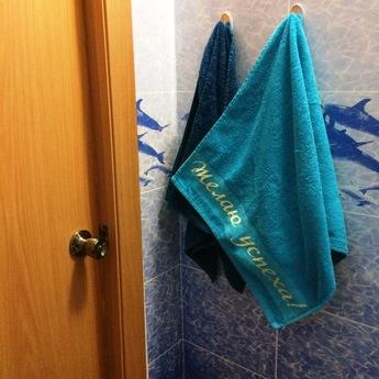 Apartment near the metro center Ametyevo, Kazan - apartment by the day