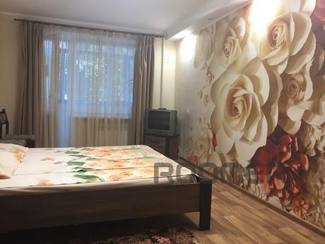 Clean, warm, cozy, Kropyvnytskyi (Kirovohrad) - apartment by the day