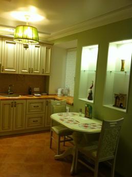 Beautiful 1-bedroom apartment near the m, Kharkiv - apartment by the day