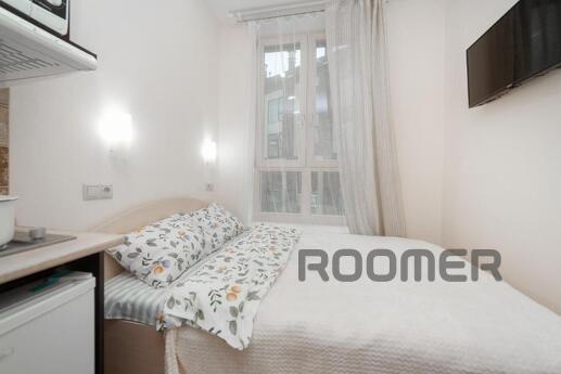 A cozy studio apartment is for rent in the Nevsky residentia