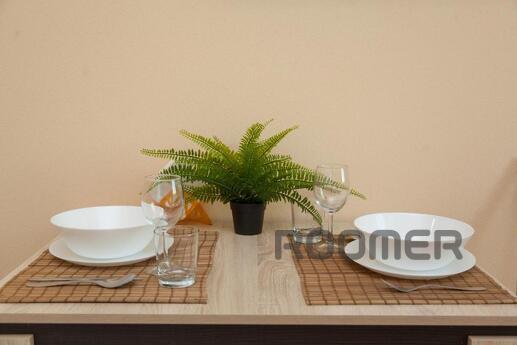 Стильная студия рядом с м. Бибирево, Москва - квартира посуточно