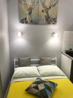 Cozy studio on Skolkovskaya 5a, Одинцово - квартира подобово