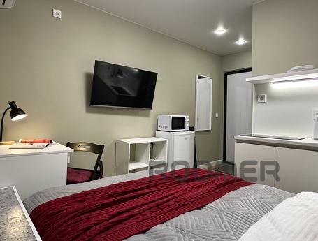 Cozy studio for rent in Danilovsky district, not far from th