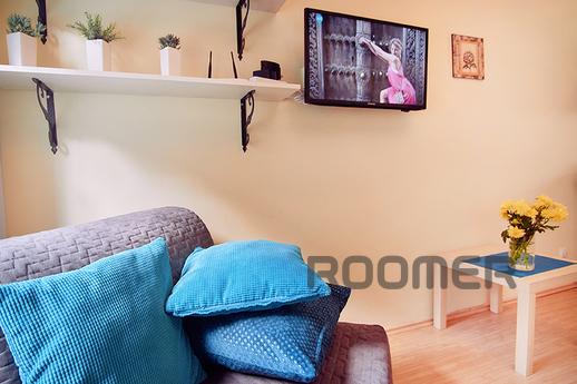 Compact apartment in pіshohіdnіy zones, Lviv - apartment by the day
