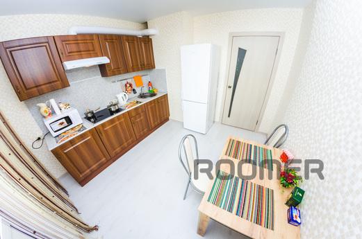1 bedroom Grodnenskaya apartment 65, 21 , Voronezh - apartment by the day