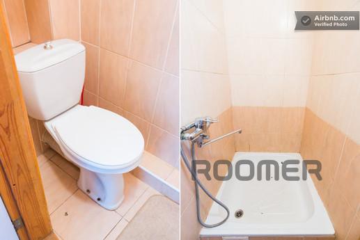 Rent one-bedroom studio apartment, Kyiv - apartment by the day