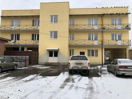 Spacious Apartment in Uzhhorod, Uzhhorod - apartment by the day