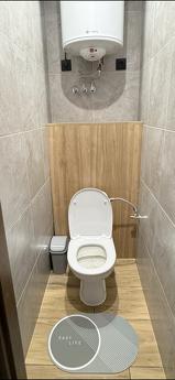 Lisoviy Avenue, Serts Institute, metro station, Kyiv - apartment by the day