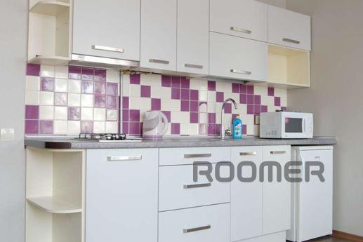 Apartment with a new renovation Kharkov, Kharkiv - apartment by the day