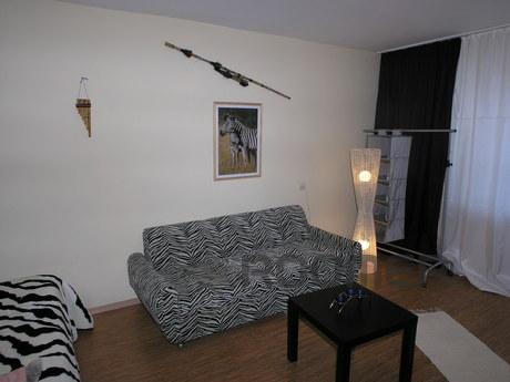 Zebra studio in the city center, Kyiv - apartment by the day