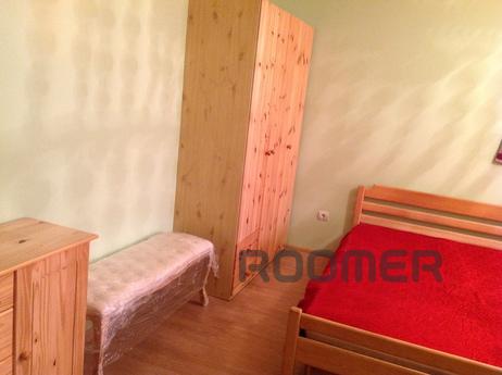 VIP 2-bedroom New Year, Kyiv - apartment by the day