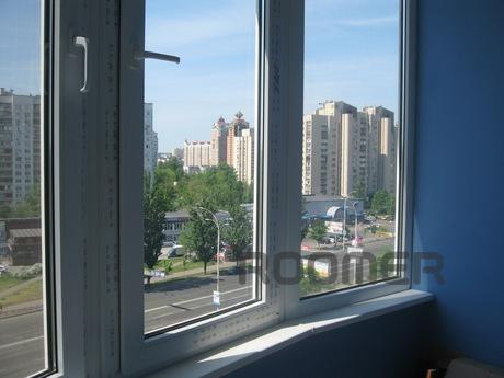 VIP 2-bedroom New Year, Kyiv - apartment by the day