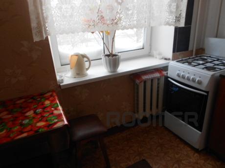 DAILY 1BR APARTMENT in Boryspil, Boryspil - apartment by the day